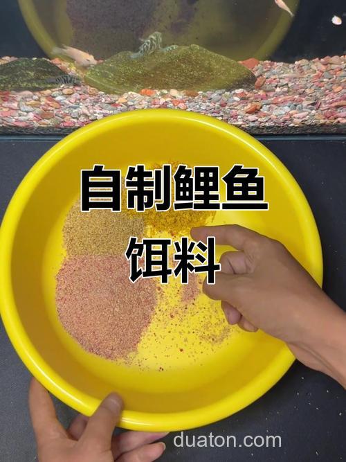 夏季自制钓鲤鱼饵
