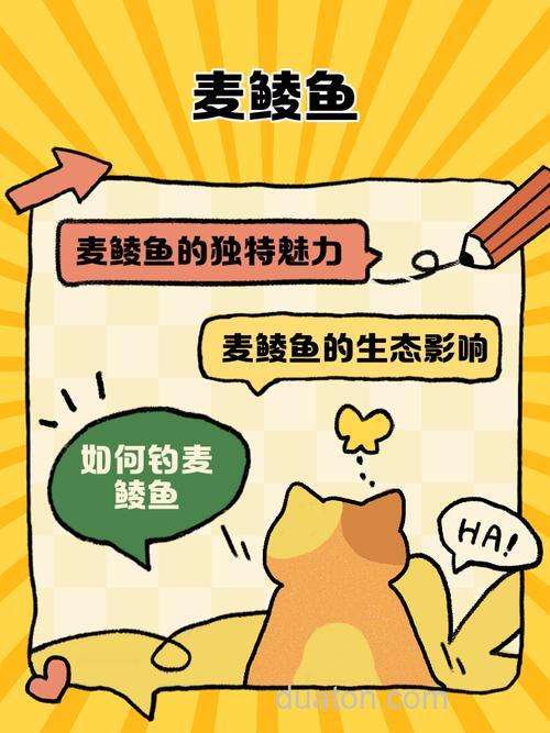 南方夏季麦鲮鱼最佳饵料配方?
