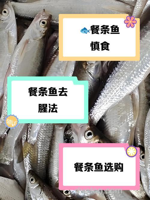 餐条鱼虽常见,为何却要尽量少吃?看完你就懂了!