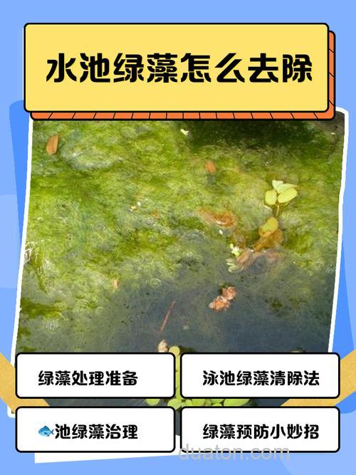 鱼池水浑水绿怎么解决?