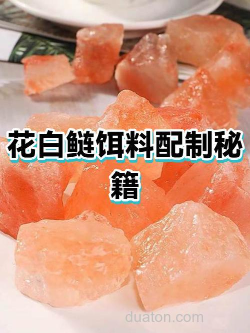 花白鲢饵料配方?