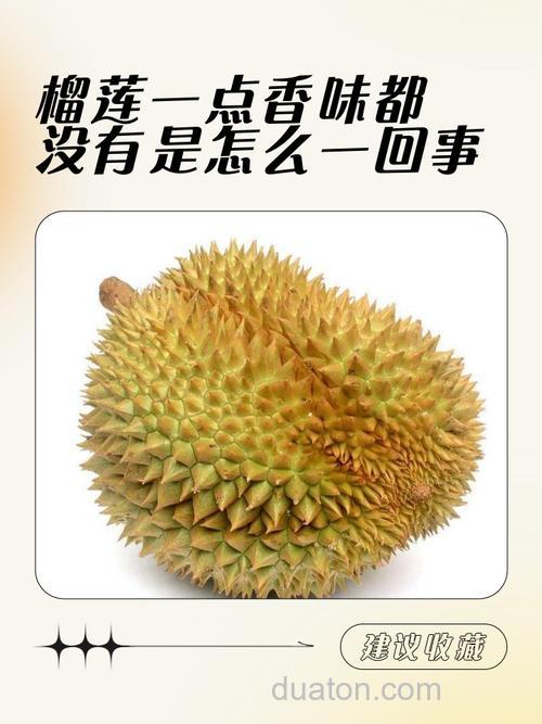 榴莲香吗??