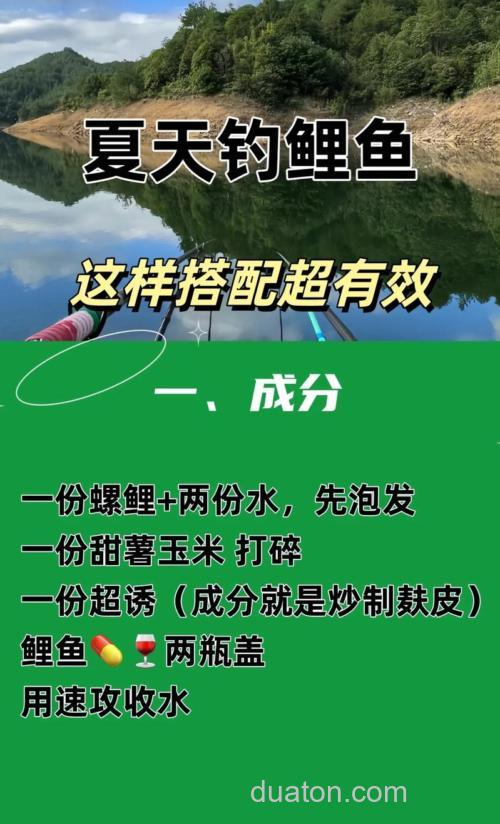 怎样搭配饵料钓鲤鱼
