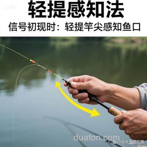 鱼上钩了怎么提竿?