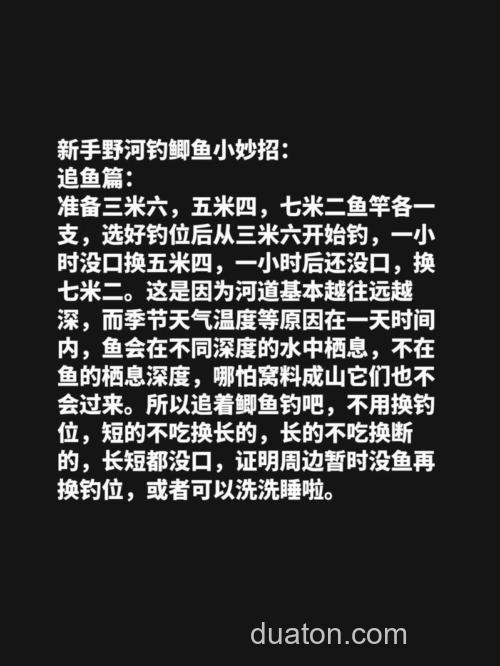 河道里怎么钓鲫鱼