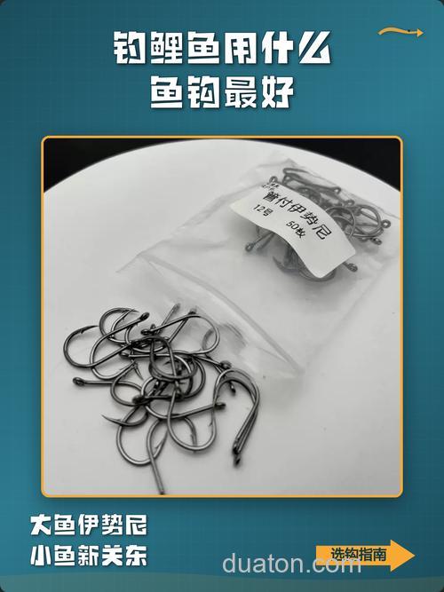 如果钓鲤鱼用什么鱼钩和饵料?