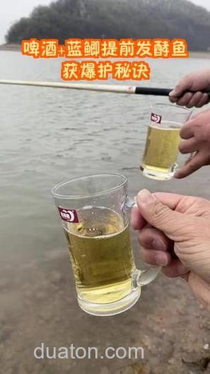 蓝鲫加啤酒能钓鱼吗?