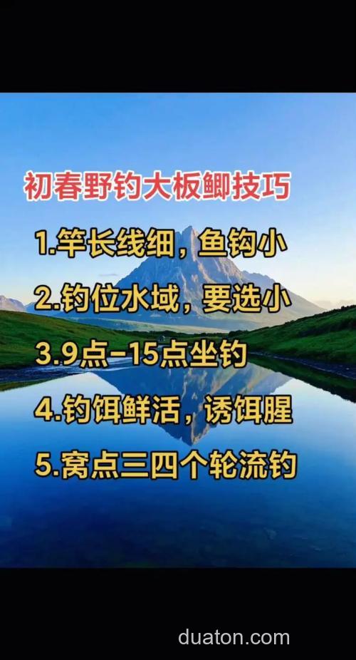 春钓大板鲫技巧分享
