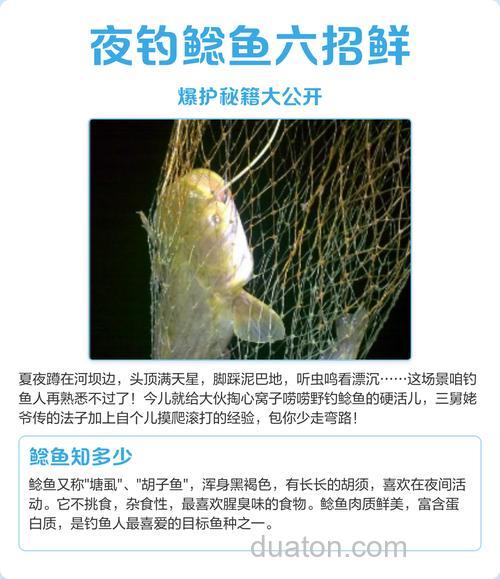 夜钓鲶鱼绝招是什么?