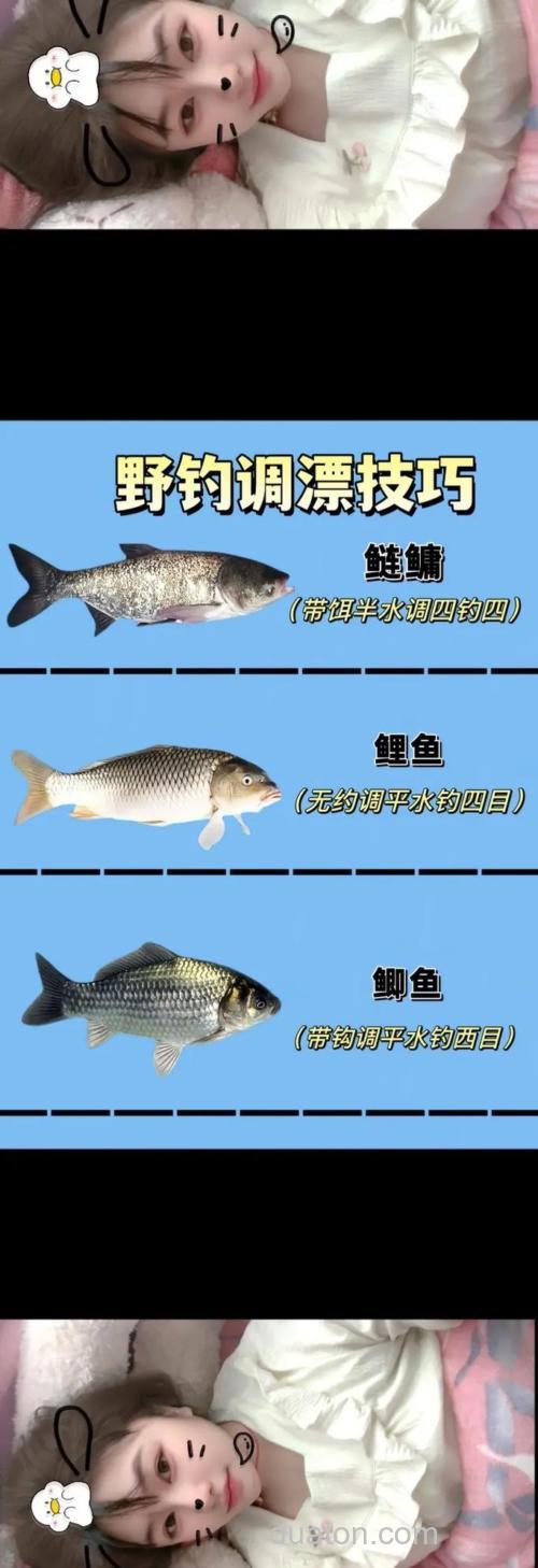 春天对鲫鱼环境的解析