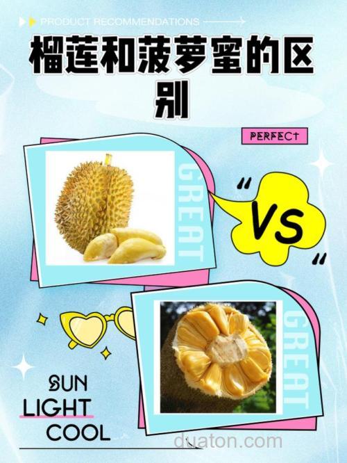 求榴莲和波罗蜜的全部注解和用途