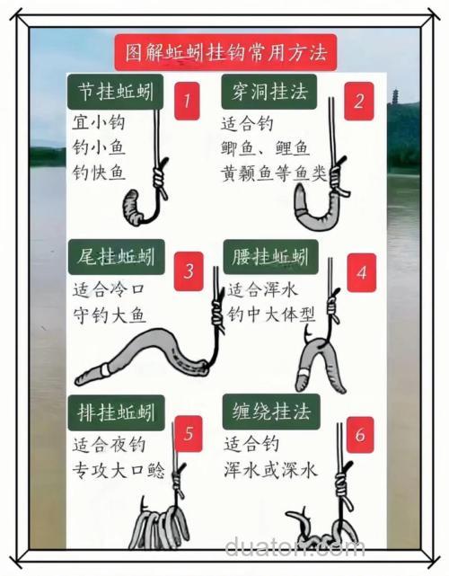钓鲫鱼蚯蚓的正确挂法有哪些?