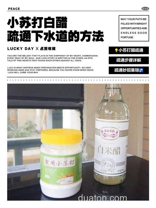 白醋开饵比例是多少?