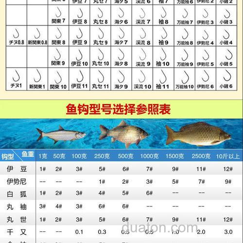丸九鱼钩适合钓什么鱼?