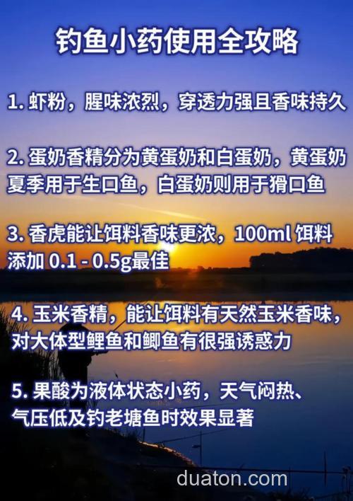 钓鱼饵料提前能加小药吗