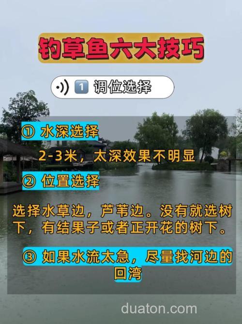 秋季野钓大草鱼必须明白的4个技巧