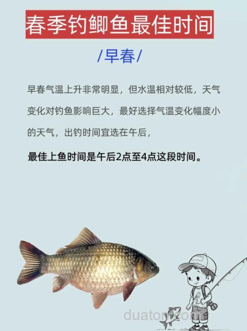 春季钓鲫鱼什么时间最好