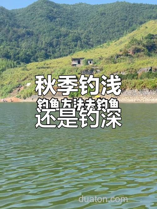 秋天中午钓鱼钓深还是浅?