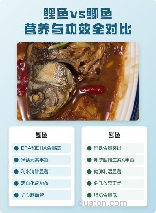 鲤鱼和鲫鱼哪个营养更丰富?