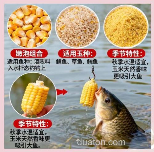 嫩玉米与商品饵怎么混合使用?