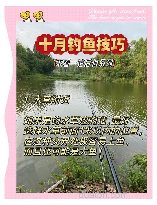 秋季钓鱼的方法有哪些?