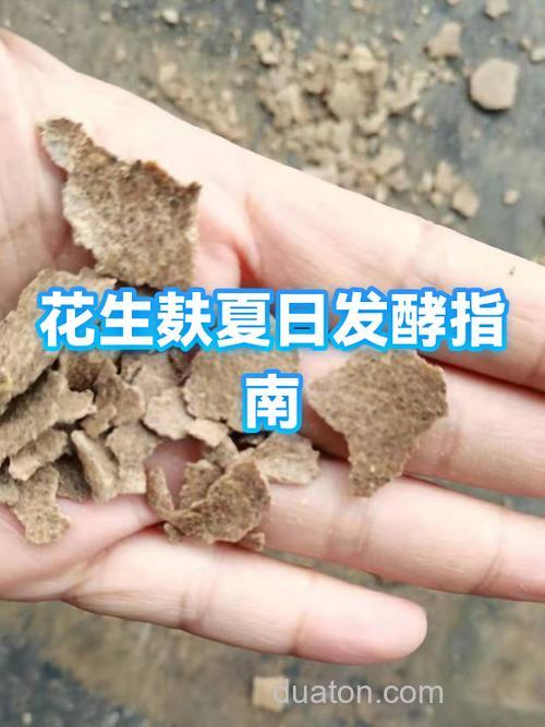 花生麸加红糖能钓鱼吗？