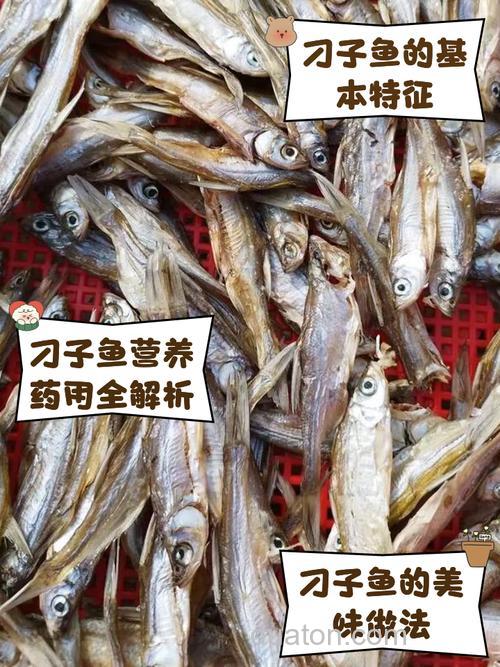 钱塘江钓子鱼用什么饵料?