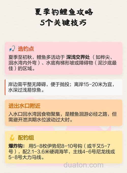 如何在夏季钓鲤鱼~?