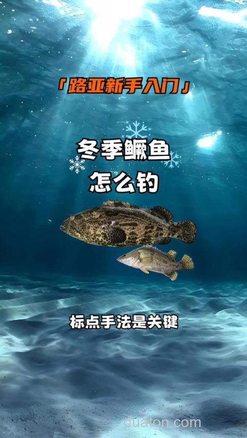 钓桂花鱼的五个钓法技巧分享