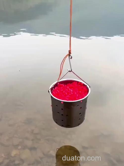 中秋后钓鱼用什么打窝?