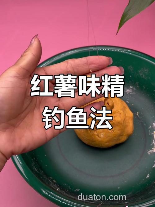 红薯可以钓到鲫鱼吗?