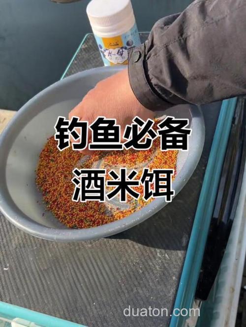 白醋开饵能钓鲤鱼吗？
