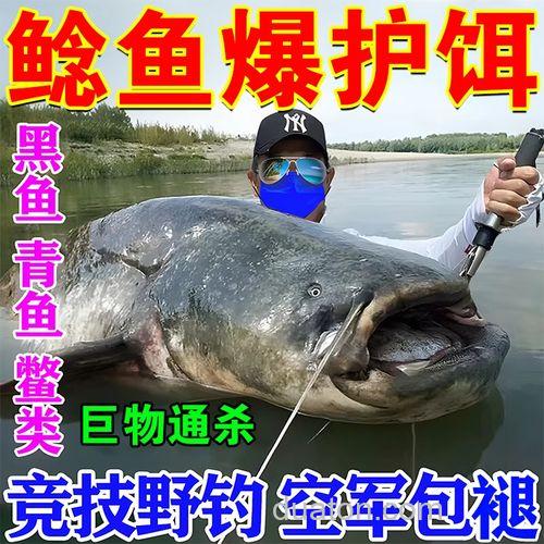 胡子鲶 饵料？