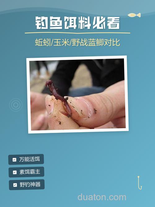 野战蓝鲫和蚯蚓哪个好?