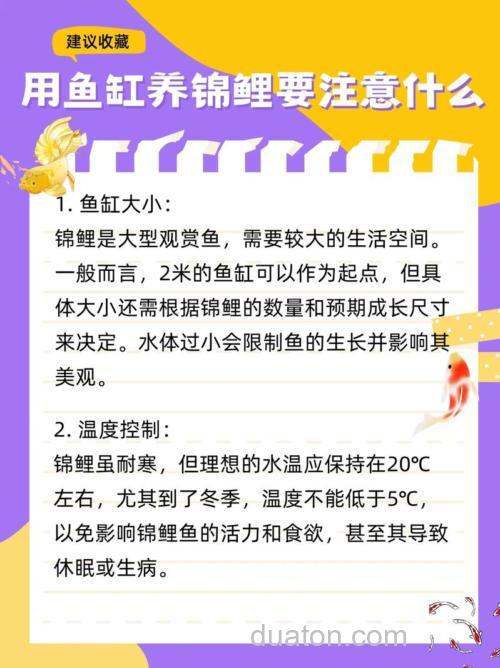 新买回来的锦鲤要放鱼缸里需要注意什么？
