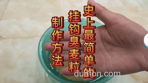 自制麦子钓鱼绝密配方?
