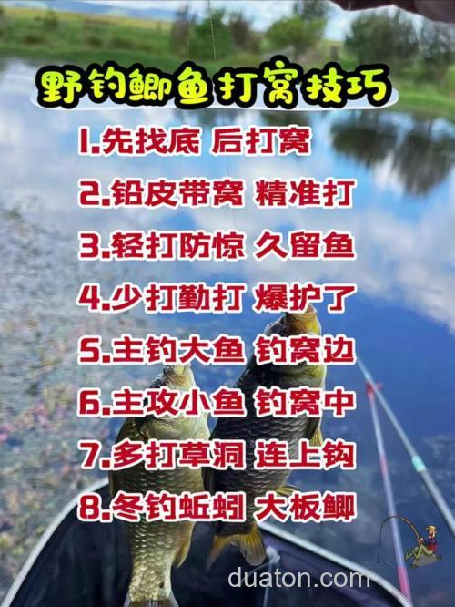 钓鲫鱼怎么打窝子