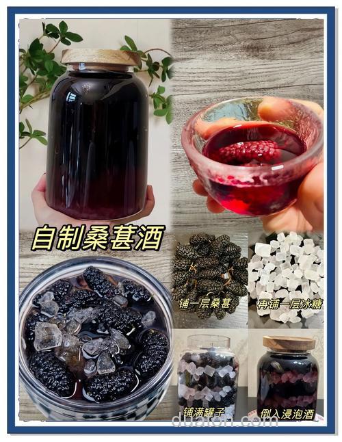 有什么技巧可以让自制的桑葚酒甘甜美味?