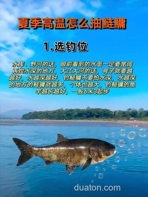 夏钓鲢鳙,这3个点,你注意到了吗?