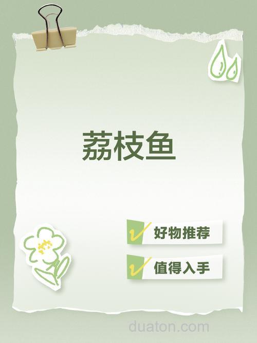荔枝能钓什么鱼？