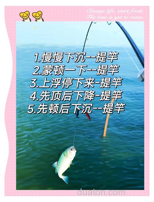 台钓提竿很关键!掌握这些技巧,提升中鱼率减少脱钩遗憾
