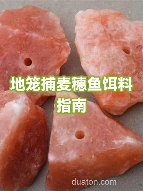 地笼抓麦穗用什么饵料?