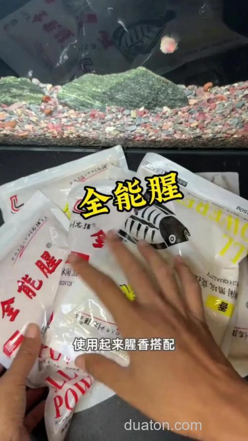 全能腥和全能香怎么开饵?