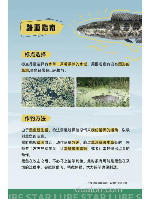黑鱼习性,钓黑鱼啥时间最好?