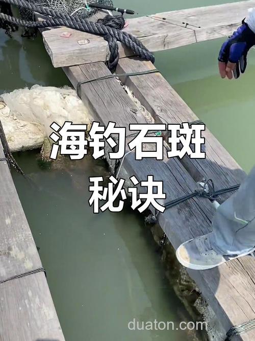海钓石斑鱼：选对装备与技巧，畅享挑战与乐趣