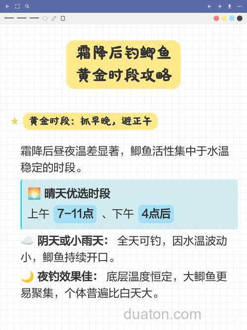 霜降后钓鲫鱼技巧