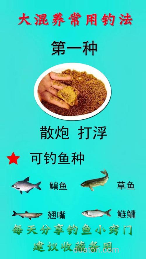 浮钓草鱼鳊鱼如何打窝？