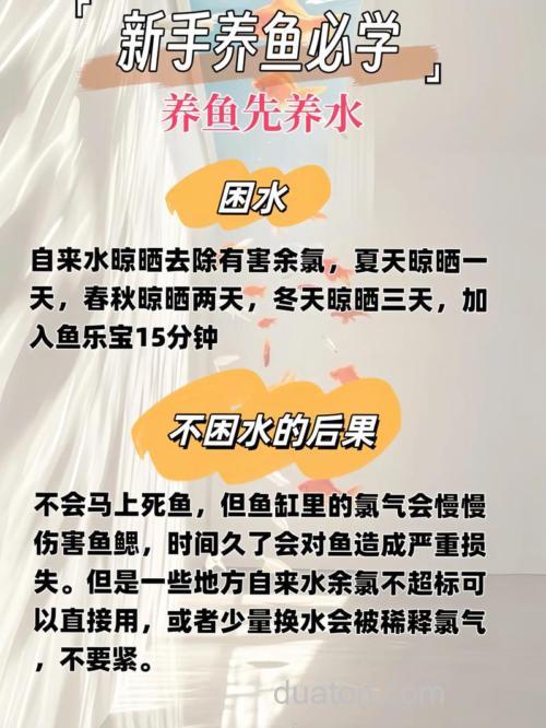 怎么可以让我的鱼活的更好?