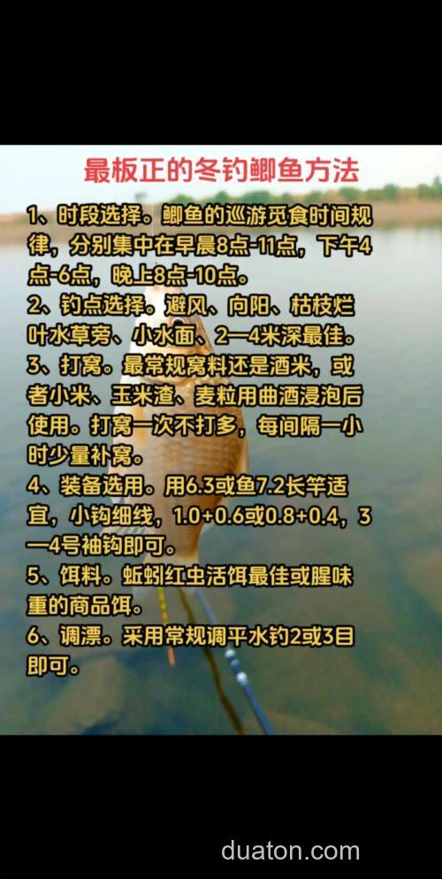 冬季钓鲫鱼总是脱钩的原因和解决办法