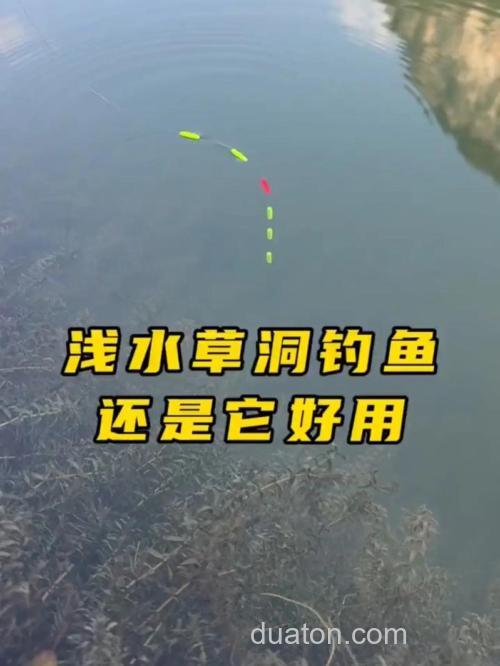 水草洞里钓鲫鱼的技巧